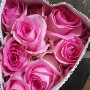 🌸 Pink Rose – Rs 400 per Stem