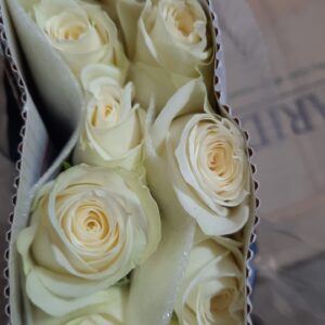 🤍 White Rose – Rs 400 per Stem