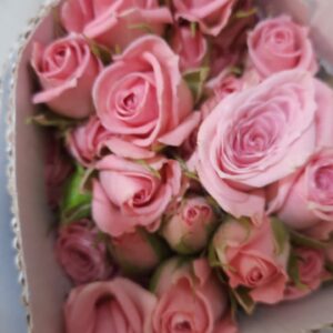 🌸 Spray Rose Pink – Rs 500 per Stem