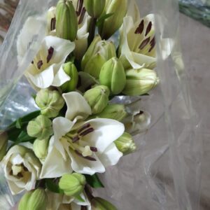 White Lily - Rs: 400/- per stem