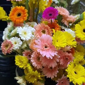 Gerbera( seasonal) - Rs : 100/- per stem